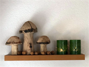 Pilz aus Holz