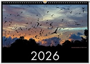 Vogel - Wandkalender 2026