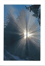 Fotokarte 36w0128